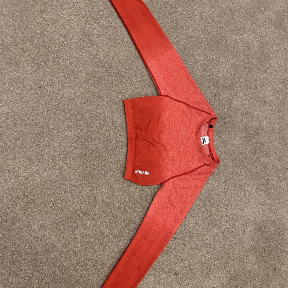 Gym shark adapt ombré seamless long sleeved crop top